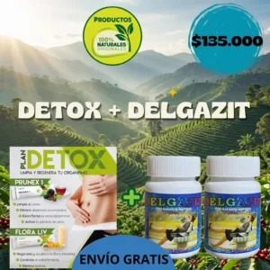 Detox Fuxion + 2 Delgazit